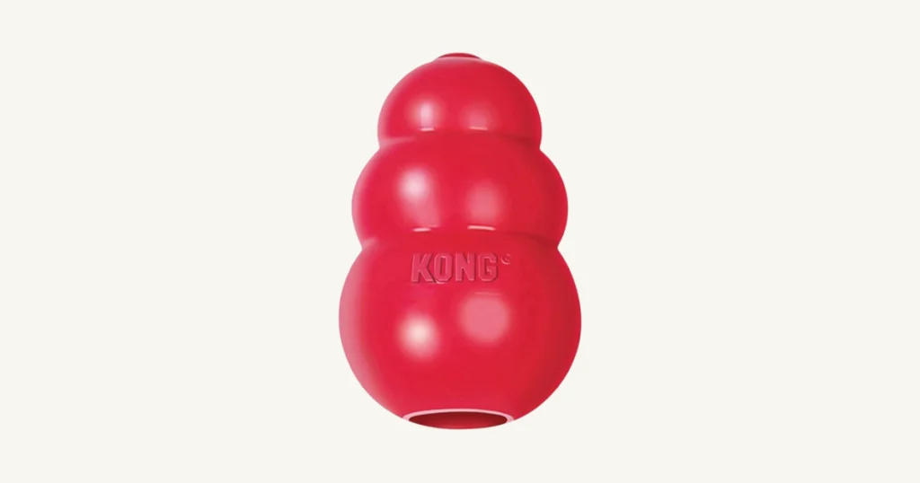 KONG Classic Dog Toy