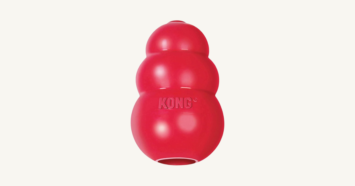 KONG Classic Dog Toy